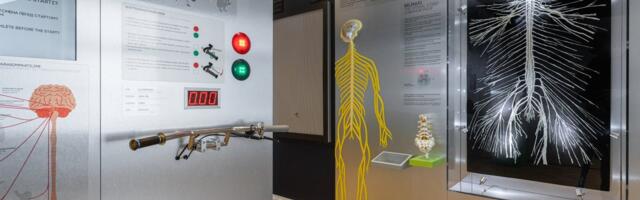 Mõõtmatu jõud! Rammumees tiris muuseumi jõumõõtja seinast lahti