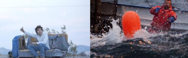 Ellujäämise õppetunnid: 19 teost sellest, kuidas Alaskal asjad käivad