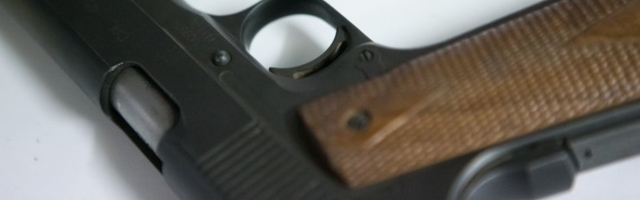 Martin Bahovskit tulistanud abikaasa võeti vahi alla