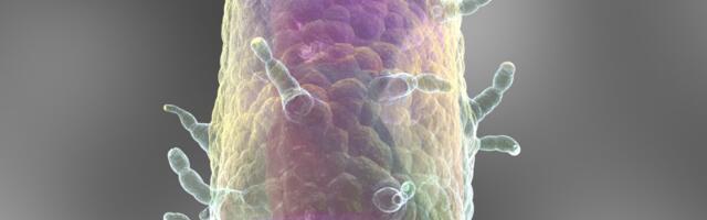 Ameerikas registreeriti haruldane inimkatku juhtum