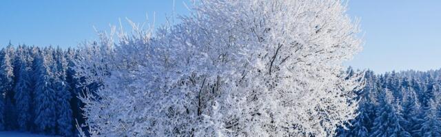 RMK on eraomanikelt ostnud kaitsealuseid maid 30 miljoni euro eest