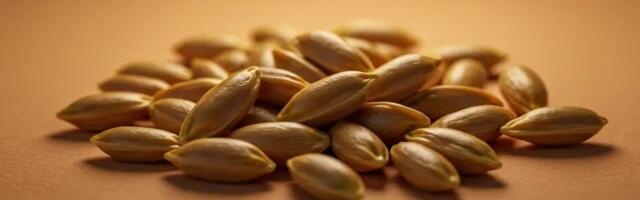 Ära viska sidruniseemneid minema: kasuta neid nii ja loo midagi täiesti uut