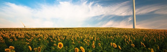 Riigikohus: tuuleenergia arendamine on oluline avalik huvi