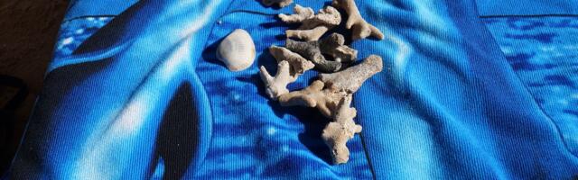 Pereelu kompromiss. Egiptus