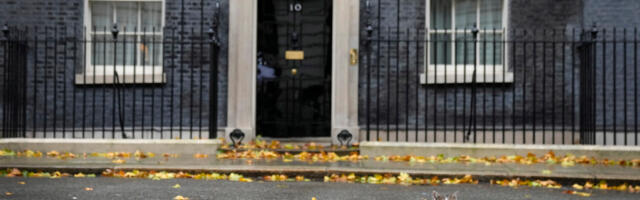 Ühendkuningriik kaalus koroona tõkestamiseks kõikide kasside hukkamist 