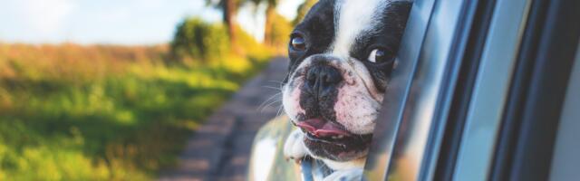 Teadusminutid! Miks tekib sõidu ajal tagumist akent avades vastik heli?