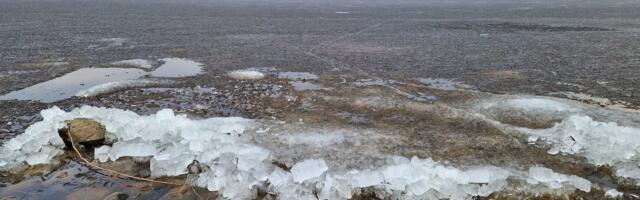 FOTOD JA VIDEO | Meri elab ja mulksub: Pärnu lahel teeb sulav jää häälitsusi