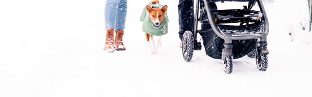 Ajutine talvine liikluskorraldus kehtestatakse ka Tartus Tamme puiesteel