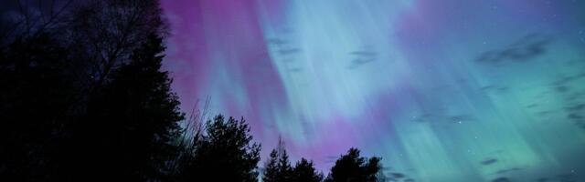 FOTOD | Taevas võis näha ka üliharuldasi siniseid ja punaseid virmalisi