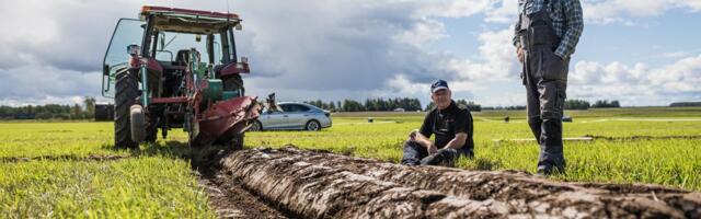 OTSEÜLEKANNE | Kas parim kündja on eestlane? Alanud on kündmise maailmameistrivõistlused