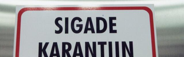 Hebo Rahman: seahaud aia taga. Mida teha, kui riik isegi ei ürita kuulata