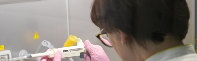TÜ teadlased: Eestis ei ole siiani leitud muteerunud koroonaviirust