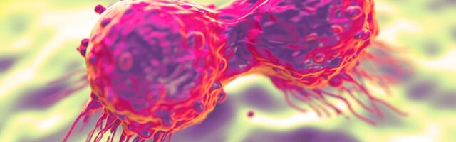 Kaitsmisele tuleb väitekiri kasvajat toetavatele makrofaagidele suunatud täppisteraapia prekliinilisest arendusest