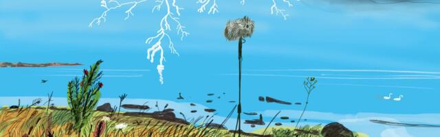 Taavi Tulev – Äike / Thunder (2023)