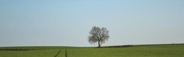 Eesti plaanib loobuda maa tootmisest kõrvalejätmise nõudest