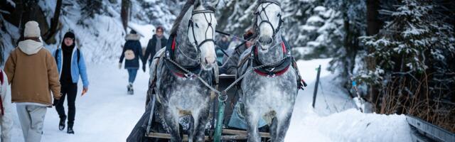 Kahe muuseumi perepäev Postiteel