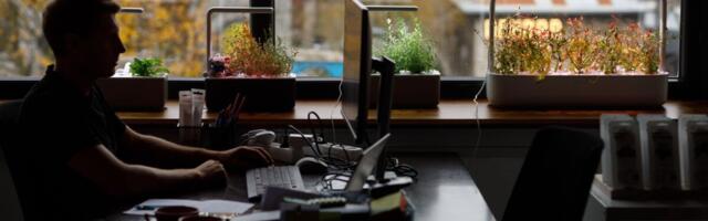 Click & Grow kaasab üle mitme aasta taas raha