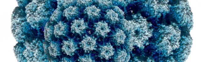 EESTIS HAIGESTUB IGAL AASTAL HPV PÕHJUSTATUD VÄHKI ENAM KUI 300 INIMEST