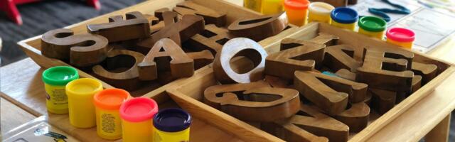 Viimsi lasteaedade ja lastehoidude hetkeolukord