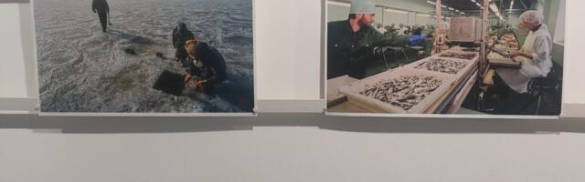 KILLUKE HIIUMAAST | Sajandi esimese veerandi Hiiumaa