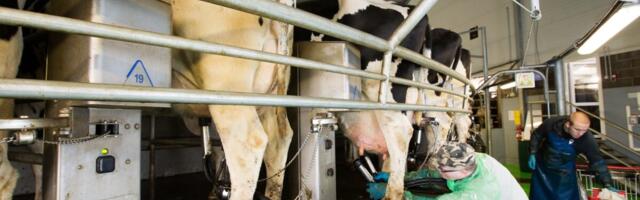 Keskmine palk kasvas III kvartalis 5,9% – põllumajandussektor jääb jätkuvalt alla Eesti keskmisele