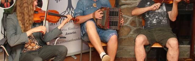 Metsaülikooli tigu teoks (II)