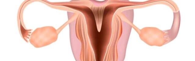 Kahesarvelise emaka diagnoosimisest