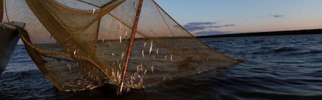 PRIAst saab taotleda toetust püügivahendite parendamiseks