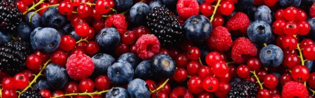 5 PÕHJUST, miks sa peaksid põldmurakaid sööma