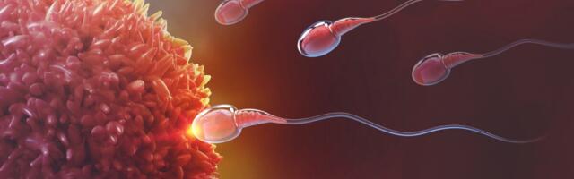 Rapamütsiin võib pikendada naiste viljakust kuni viie aasta võrra