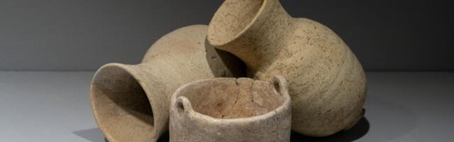 Iraagist leiti 2500 aastat tagasi kasutuses olnud õllekruusid