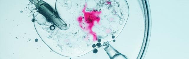 Uuring: viljatusravi saanud naistel ei esinenud vähki rohkem, kuid mõnda vähivormi esines sagedamini