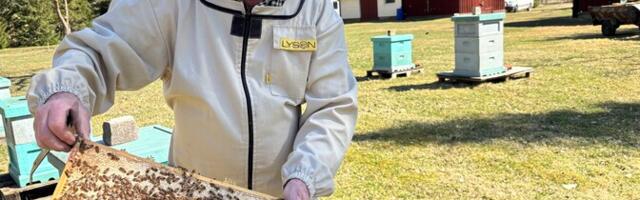 Mesinike sõnul elasid mesilaspered külma talve hästi üle