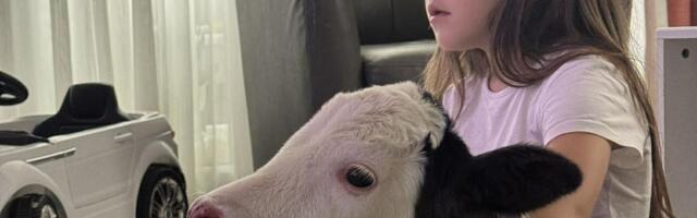 Uginulo telence koje je osvojilo čitav Balkan! Oglasila se Tamara Garović: "Negde gore, kao mali anđeo..."