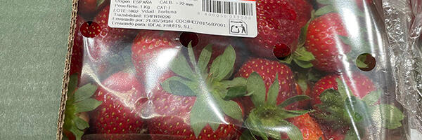 PILTUUDIS: maasika hind Hispaanias