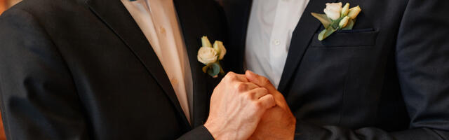 Kallase uus valitsus kavatseb seadustada "homoabielu"