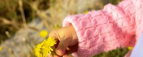Viis lasterikaste perede harjumust, millest võib kõigil abi olla