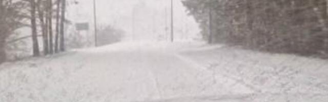 ILMABLOGI | „Teeolud on katastroofilised.“ Mitmel pool sajab tihedat lund