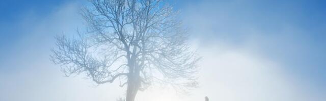 Jaanuar oli maailmas mõõteajaloo kõige soojem