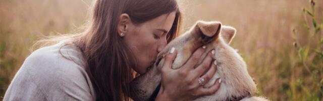 Ljubimci na prvom mestu: Pet Republic postao deo Pet centar porodice