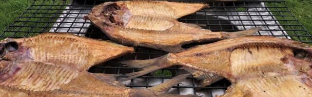 Kalaturul valitseb hinnasõda: latika kilo maksab vaid euro