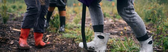 RMK koondab 75 töötajat