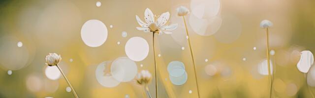 Selle aasta kevad võib tuua ühele veemärgile tõelise kuldajastu nii armastuses kui töös