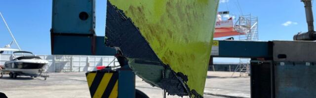 Väikelaevade õnnetused tõusuteel: vaal hammustas jahi roolilehe katki