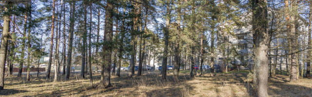 Naabrid protesteerivad Haapsalu uue poe vastu