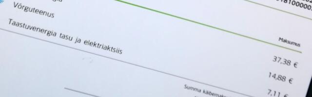 VALITSUS TOETAS TÄIENDAVAID ENERGIAHINNA LEEVENDUSMEETMEID