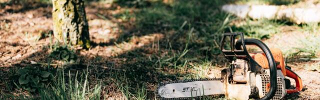 ŠOKK! Koreli pargis vigastati/saeti kuusepuud