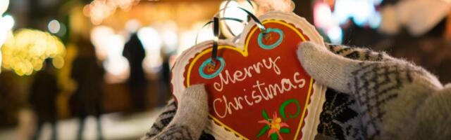 В парке Тондираба впервые пройдет «Рождество в Ласнамяэ»