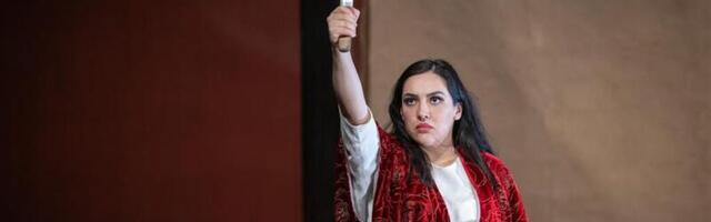 Veidi värvitute tiibadega liblika lend