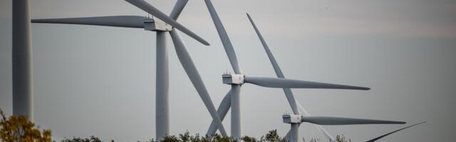 Tuulikuarendajad ja riik pakuvad: 70% odavam elekter ja 3000 eurot talumistasu, kui elad generaatori lähedal